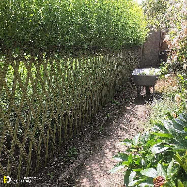 a garden fence with a wheelbarrow behind it