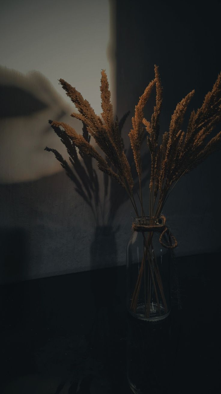 some brown plants in a glass vase on a black counter top with the light coming from behind it