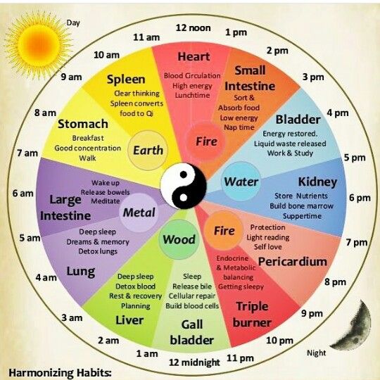 Meridian Clock, Chinese Body Clock, Meridian Lines, Oatmeal Diet, Body Clock, Chinese Calendar, Reflexology Massage, Health Tools, Food Charts