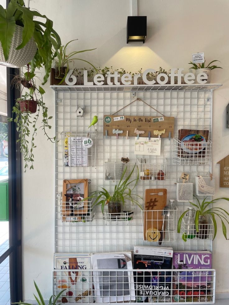 a white wall with some plants and pictures hanging on it's side, next to a potted plant