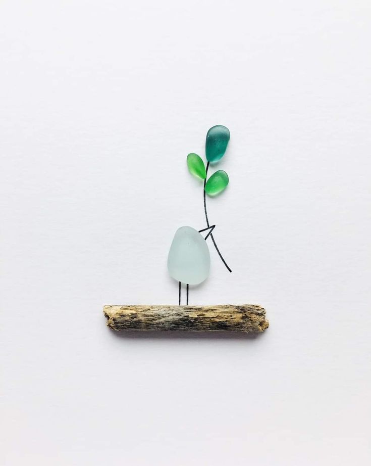 a small glass plant sitting on top of a piece of driftwood next to a white wall