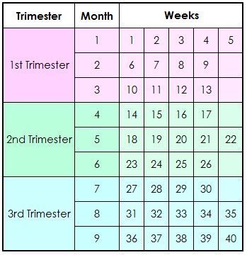 a table with numbers and times on it