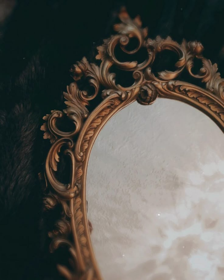 an ornate gold framed mirror sitting on top of a black fur covered flooring area