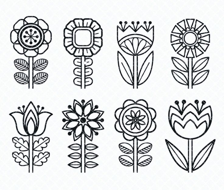 the different types of flowers drawn by hand