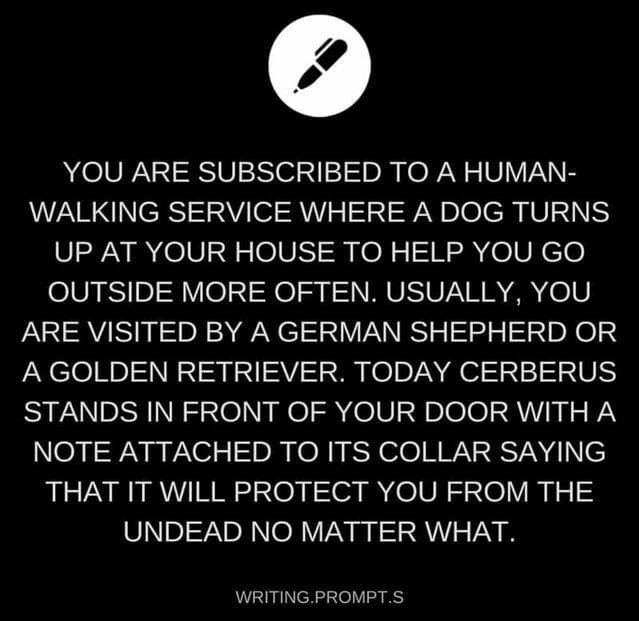 a black and white photo with the quote you are subscribed to a human walking service where a dog turns up at your house to help you go outside more often