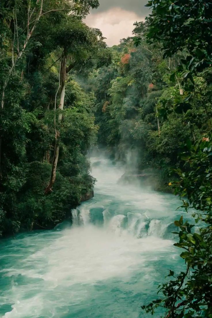 a river flowing through a forest filled with lots of green trees and water pouring out of it