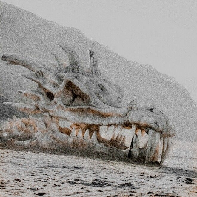 an animal that is laying down on the ground in the sand with it's mouth open