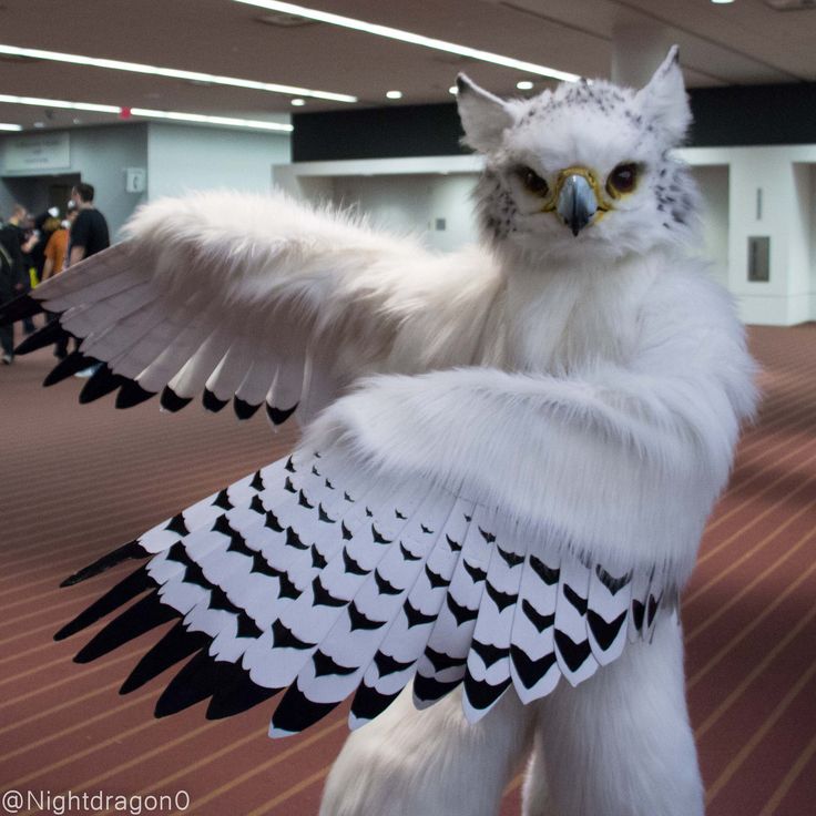 an owl like bird with black and white wings is standing in the middle of a room