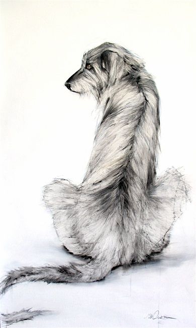 a drawing of a long haired dog sitting on the ground with its back legs crossed