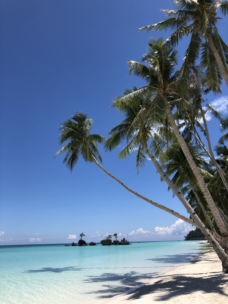 palm trees line the beach in front of clear blue water and white sand on an island