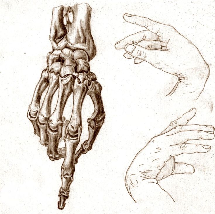 a drawing of two hands holding a human hand