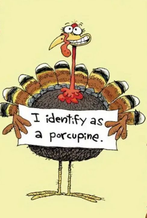 a cartoon turkey holding a sign that says, i identify as a porcupine