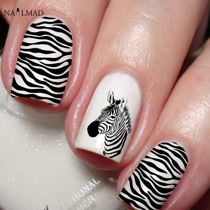 Zebra Stripe Nails, Type Of Nails, Zebra Nail Designs, Zebra Nail Art, Nagel Stamping, Zebra Print Nails, Neon Nail Art, Animal Print Nails Art, Nail Problems