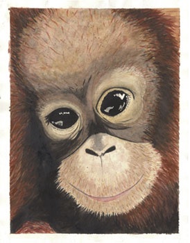 a drawing of a monkey with big eyes