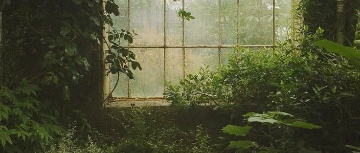 an old window is surrounded by greenery