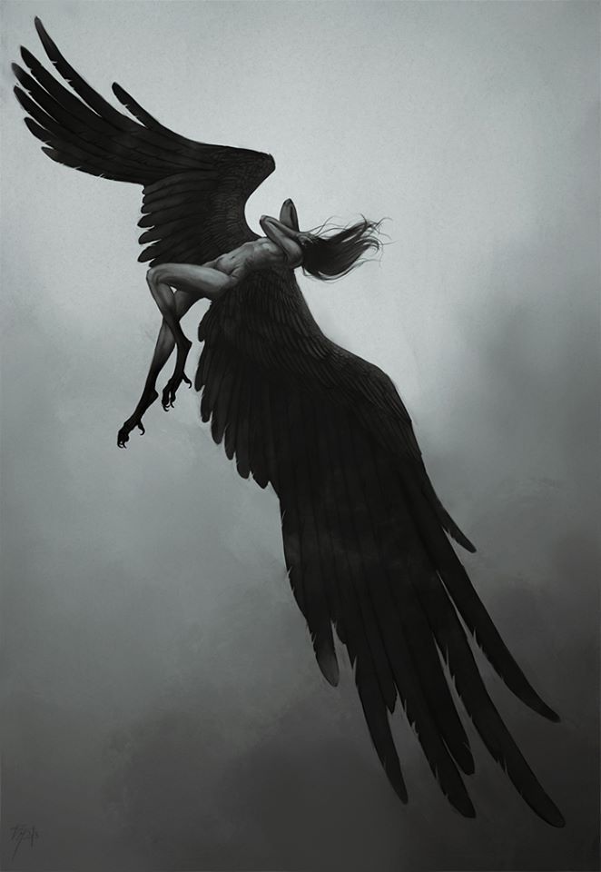 the last angel book cover with an image of a bird flying