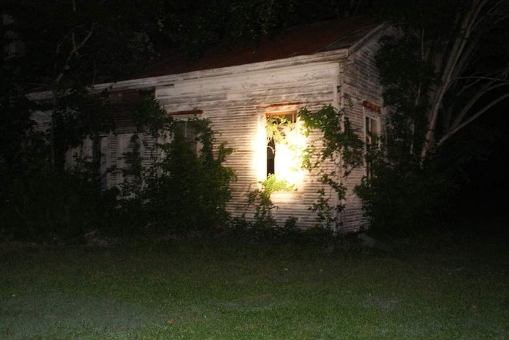 a small white house sitting in the middle of a forest at night with light coming from it's window