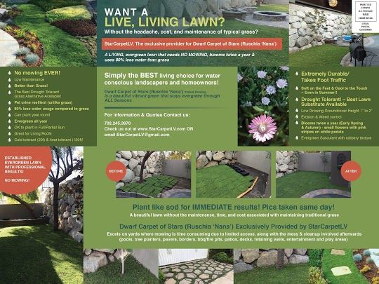 a brochure for landscaping company with images of different areas and plants in it