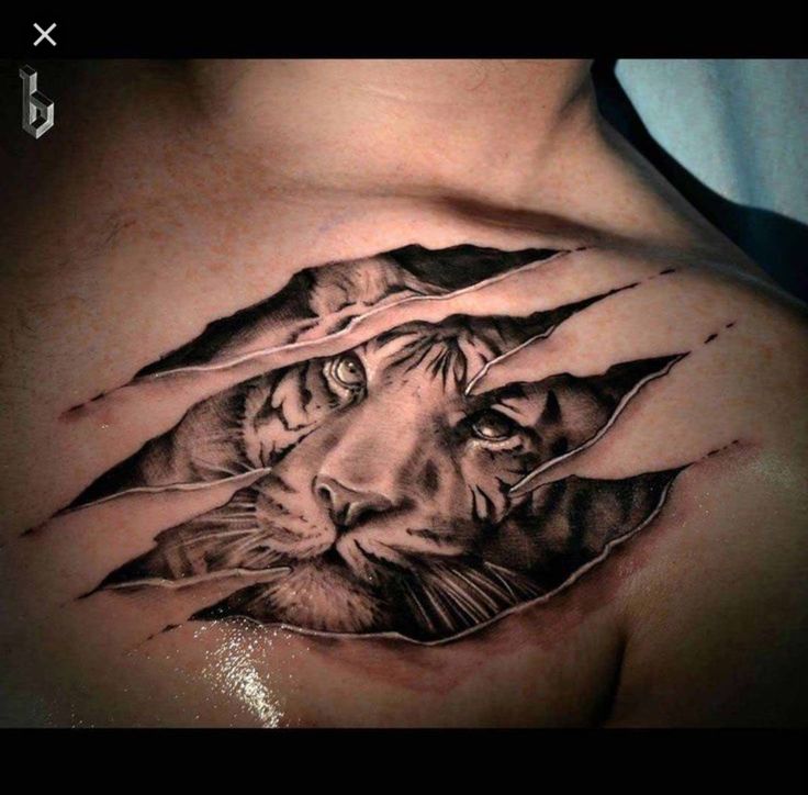 a man's chest with a tiger tattoo on it