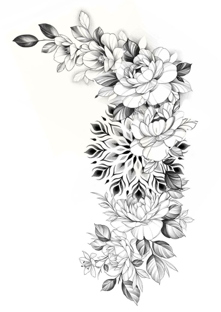 a black and white drawing of flowers with leaves on the bottom half of each flower