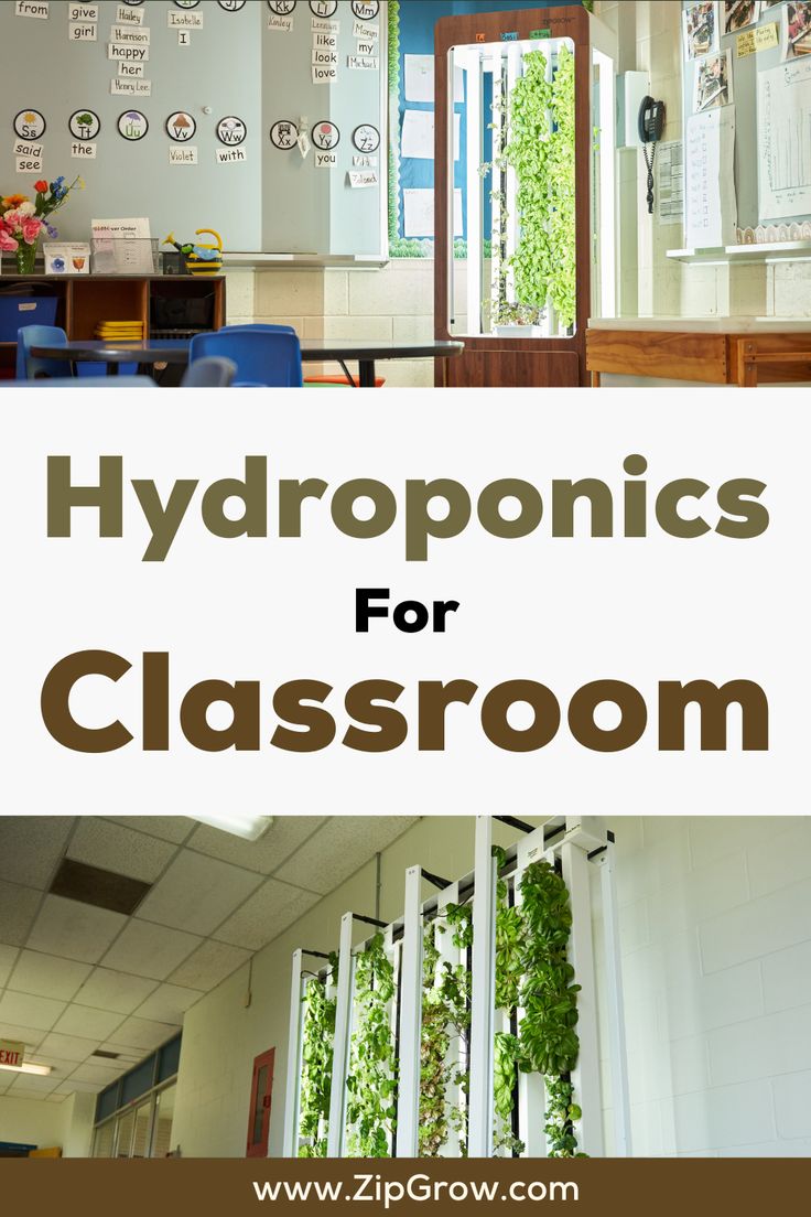 the words hydroponics for classroom are in front of an image of windows and plants