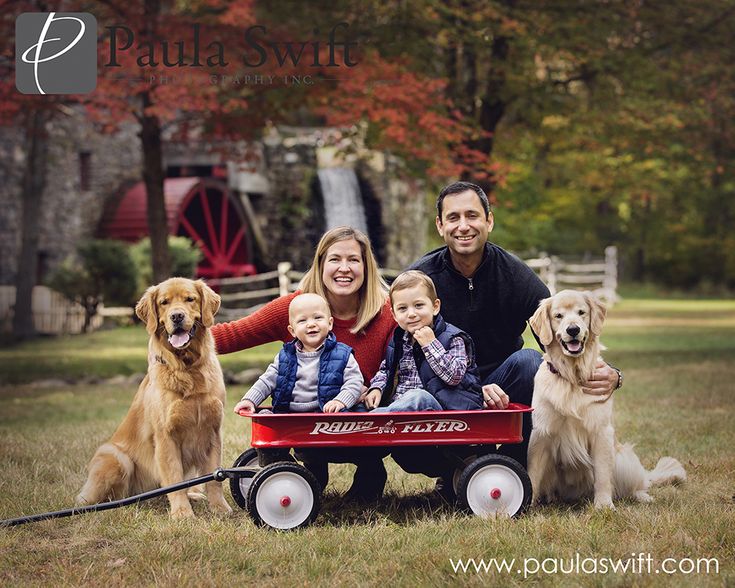 2 Golden Retrievers, Family Dog Pictures, Pet Family Photos, Dog Family Pictures, Dog Christmas Pictures, Dog Foto, Christmas Pic, Cute Family Pictures, Family Photo Cards