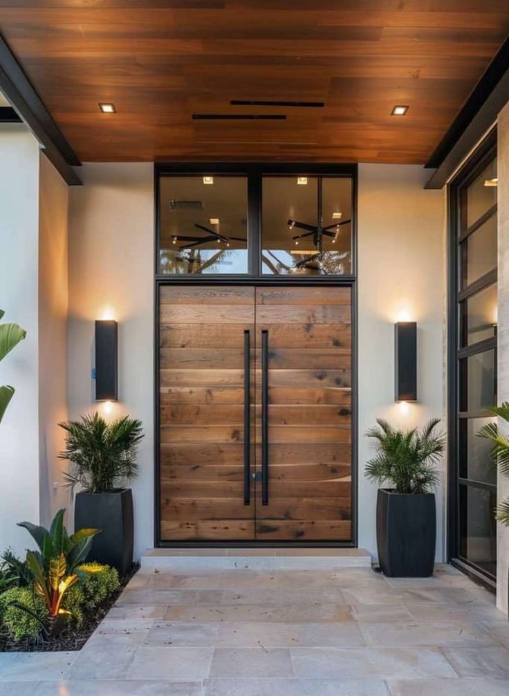 a modern entrance with two planters on either side and a wooden door in the middle