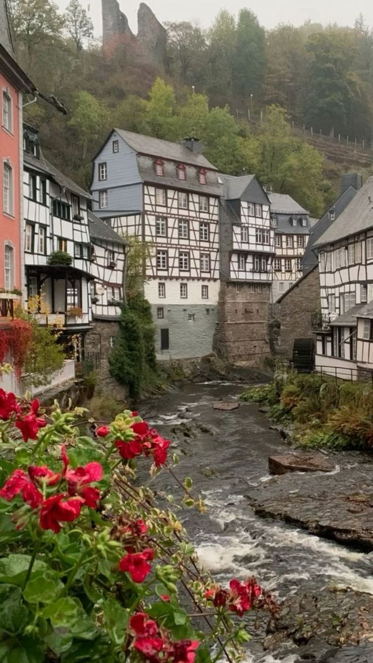 a river running through a small town next to tall buildings with red flowers in the foreground