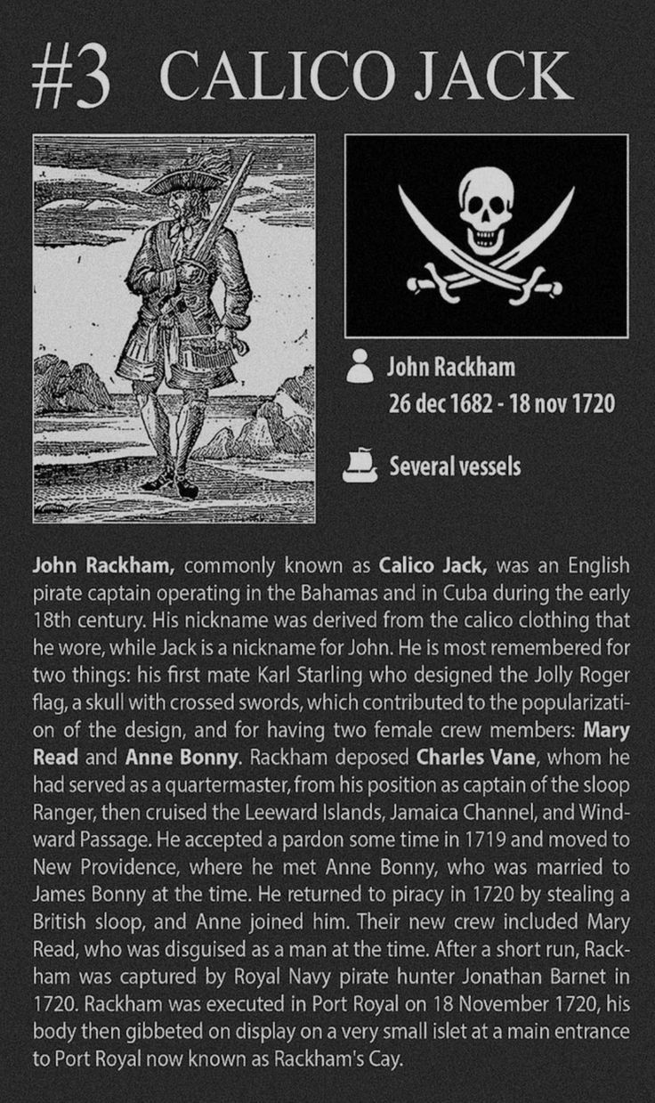 the back cover of a book with an image of a pirate