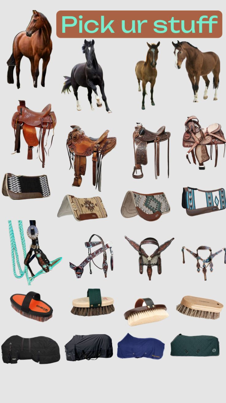 many different types of horses and saddles are shown in this graphic art work with the words pick up stuff