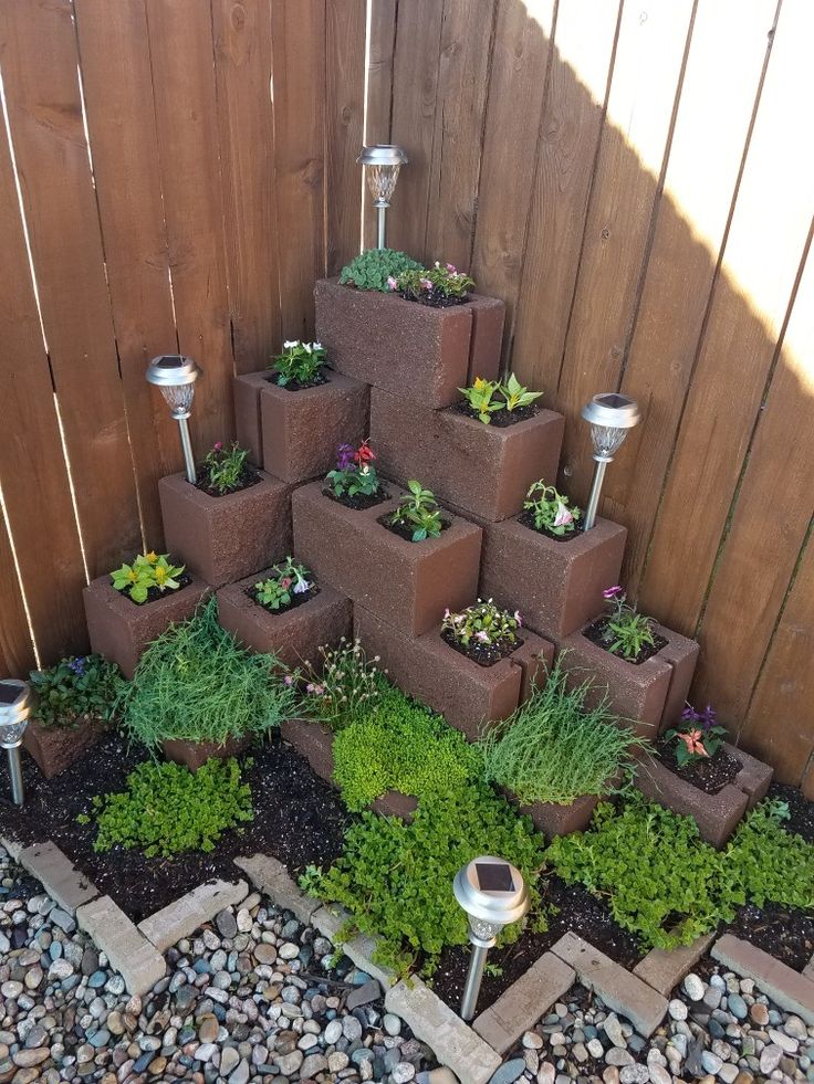 a small garden with lots of plants and rocks in the ground next to a fence