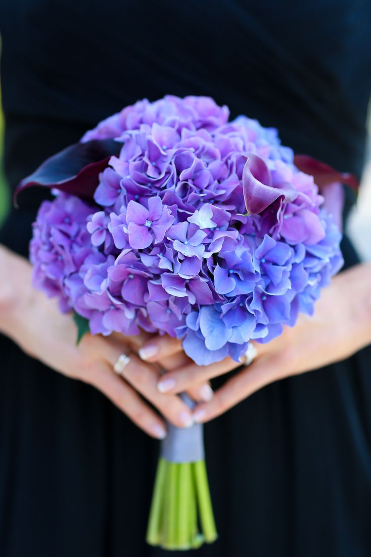 a woman holding a bouquet of purple flowers