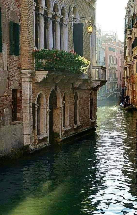 a narrow canal with buildings on both sides and flowers in the window boxes above it