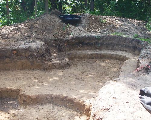 a large mound in the middle of a forest filled with trees and dirt on top of it