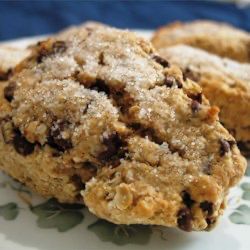 two oatmeal cookies sitting on top of a white and green flowered plate