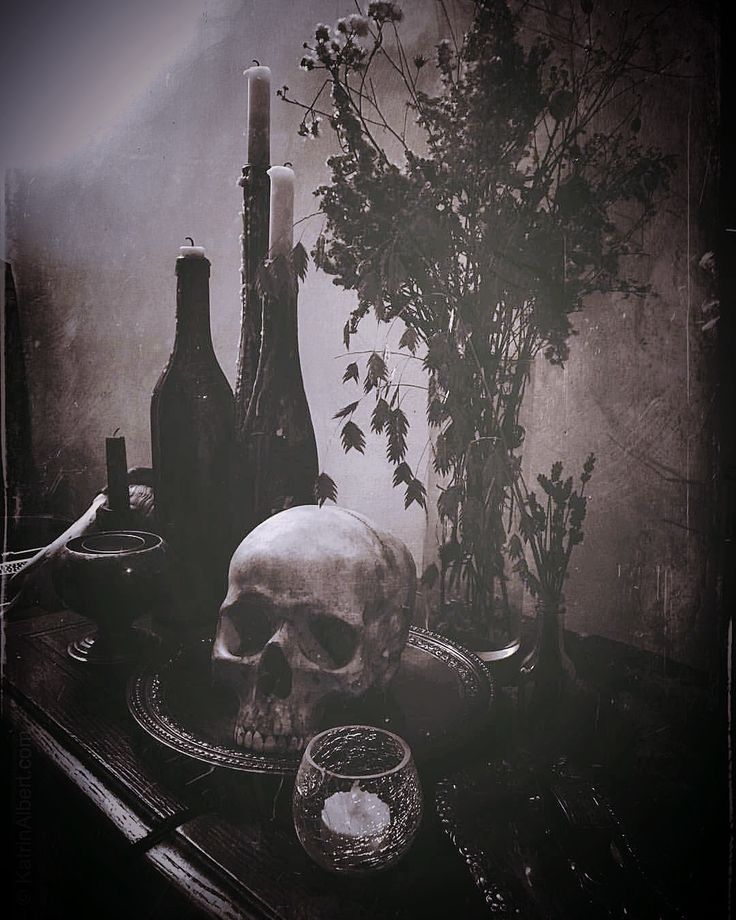 a skull sitting on top of a table next to bottles