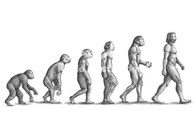 the evolution of man and woman walking in different directions, vintage line drawing or engraving illustration