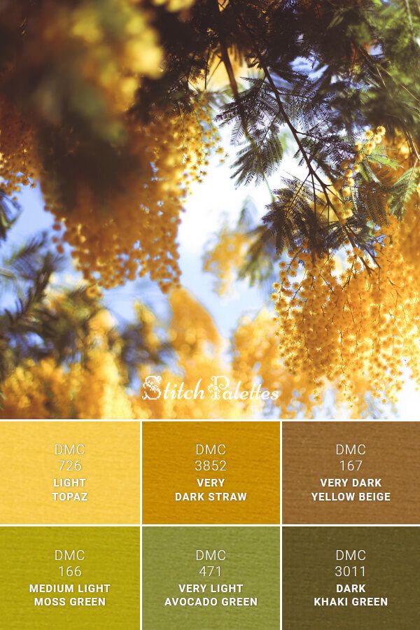 the color palettes are all different colors and there is a tree with yellow leaves on it