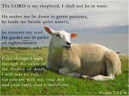 a sheep laying on top of a lush green field next to the ocean with a bible verse written below it