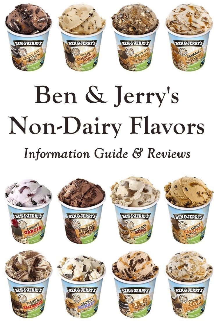 the cover of ben and jerry's non - dairy flavors information guide & review