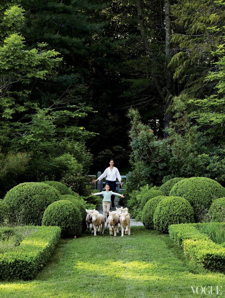 an interview with miranda brooks about the art of garden design and landscaping in her book