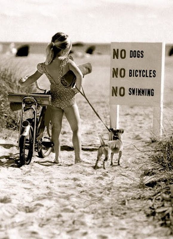 a woman walking her dog on a leash next to a sign that says no dogs, no bicycles, no swimming