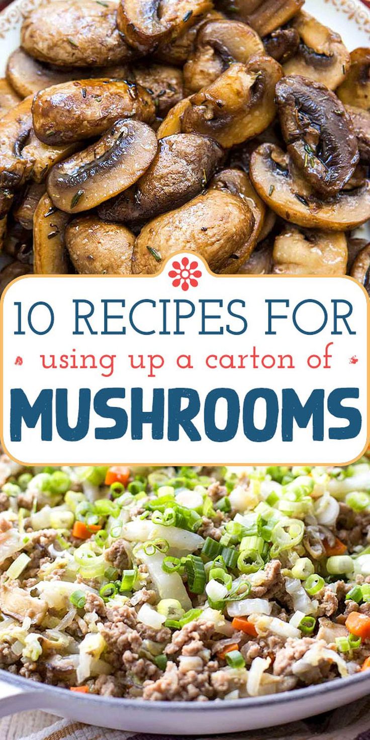 the top 10 recipes for using up a lot of mushrooms