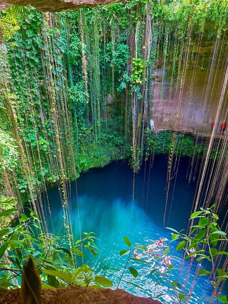 cenote mexique Aztec Princess, Mexico Nature, Mexico Aesthetic, Cancun Trip, Pretty Landscapes, Quintana Roo, Mexico Travel, Nature Aesthetic, Travel Aesthetic