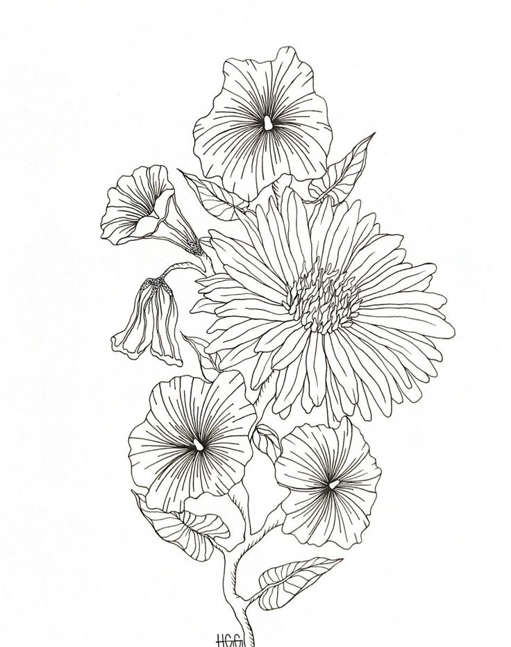 a black and white drawing of flowers