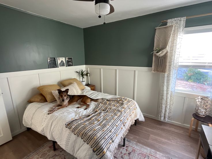 a dog laying on top of a bed in a room with green walls and wood floors