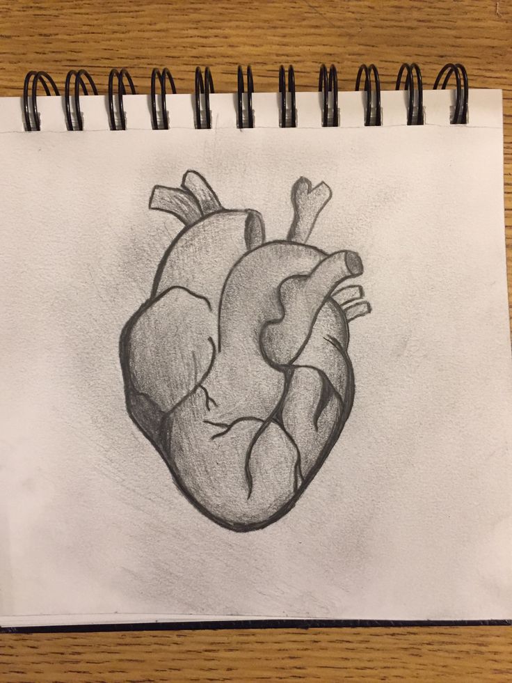 a pencil drawing of a heart on a piece of paper