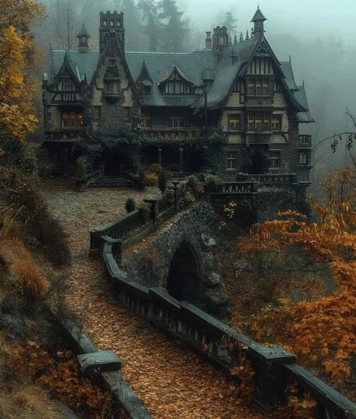 an old house is shown in the foggy forest with lots of trees and bushes