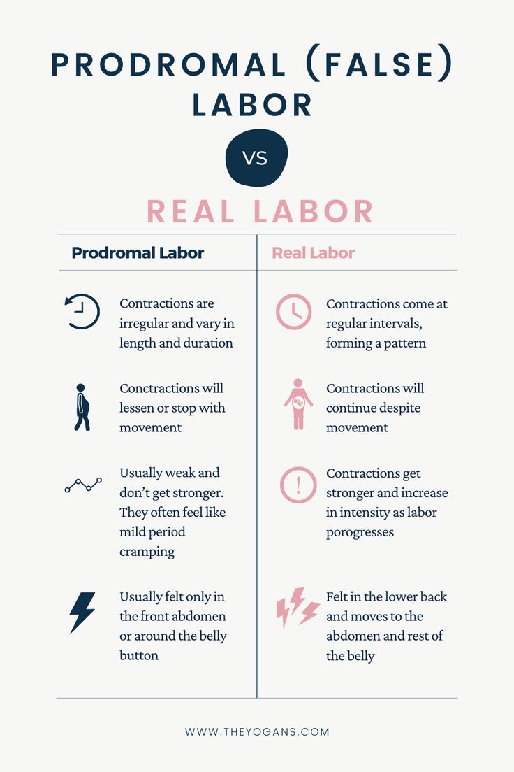 the differences between professional and labor labor labor labor labor labor labor labor labor labor labor labor labor