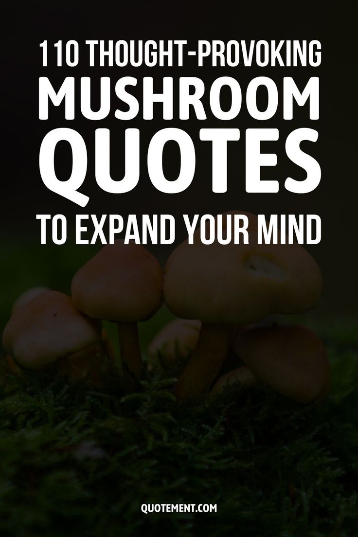 mushrooms with the words 10 thought - provoking mushroom quotes to expand your mind